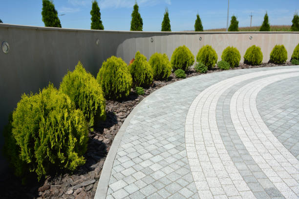 Best Brick Driveway Pavers  in Richland, GA